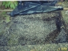 2010-caloosa-dig-2