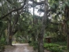 bridge-onto-island