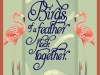 01 Birds of a Feather Flock Together