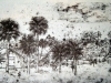 postoffice1stecampbelldrawing1899-jpg-w560h334
