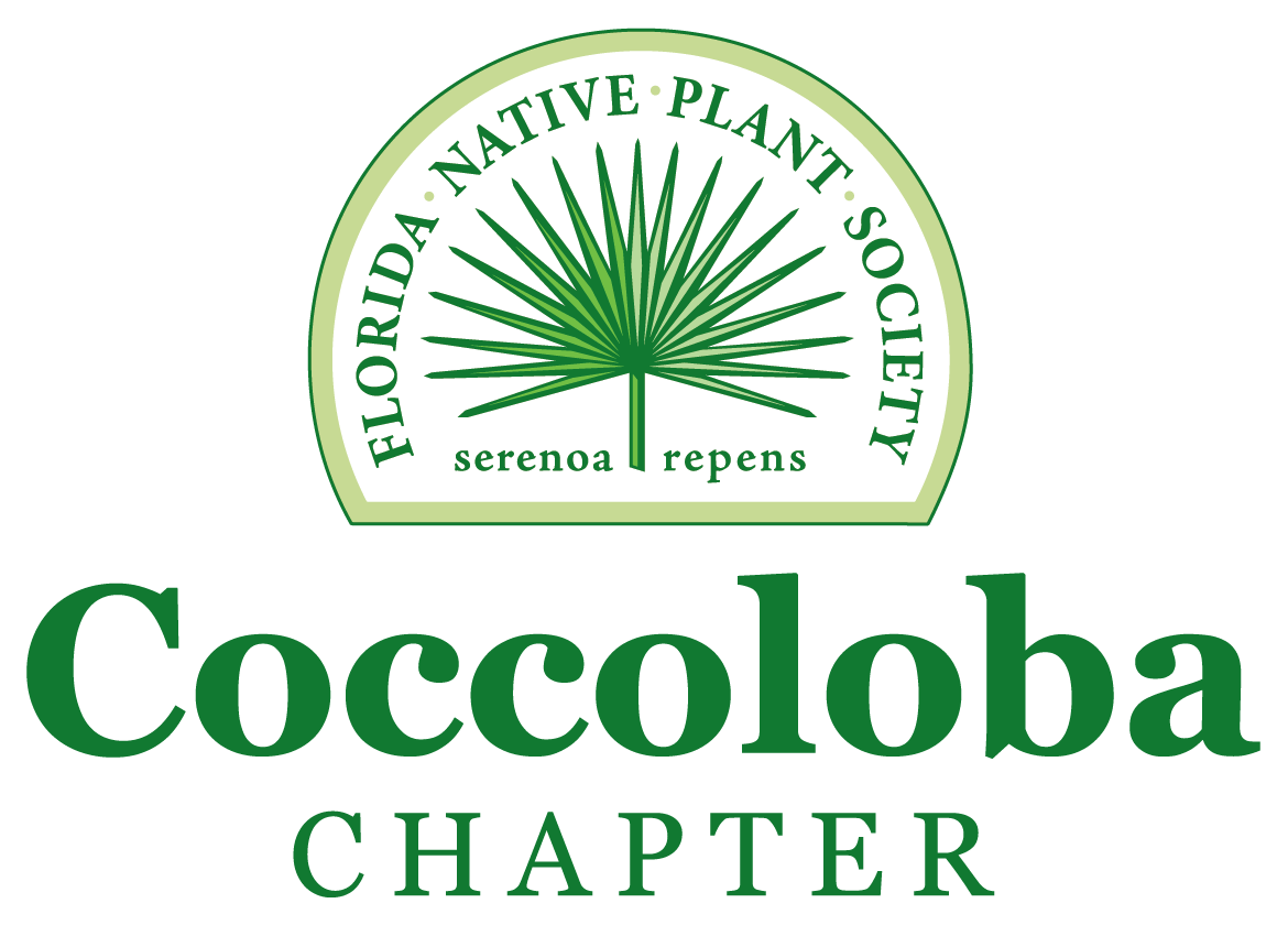 Coccoloba Chapter